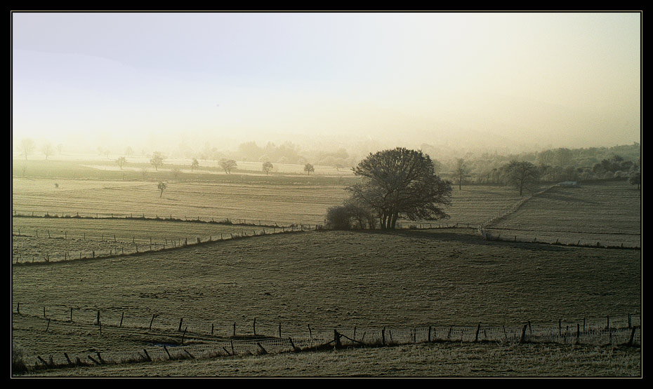 Morgenlicht