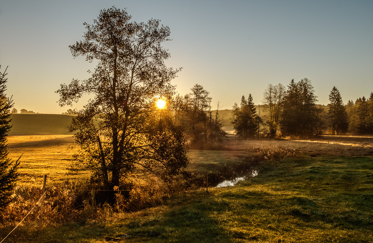 Morgenlicht