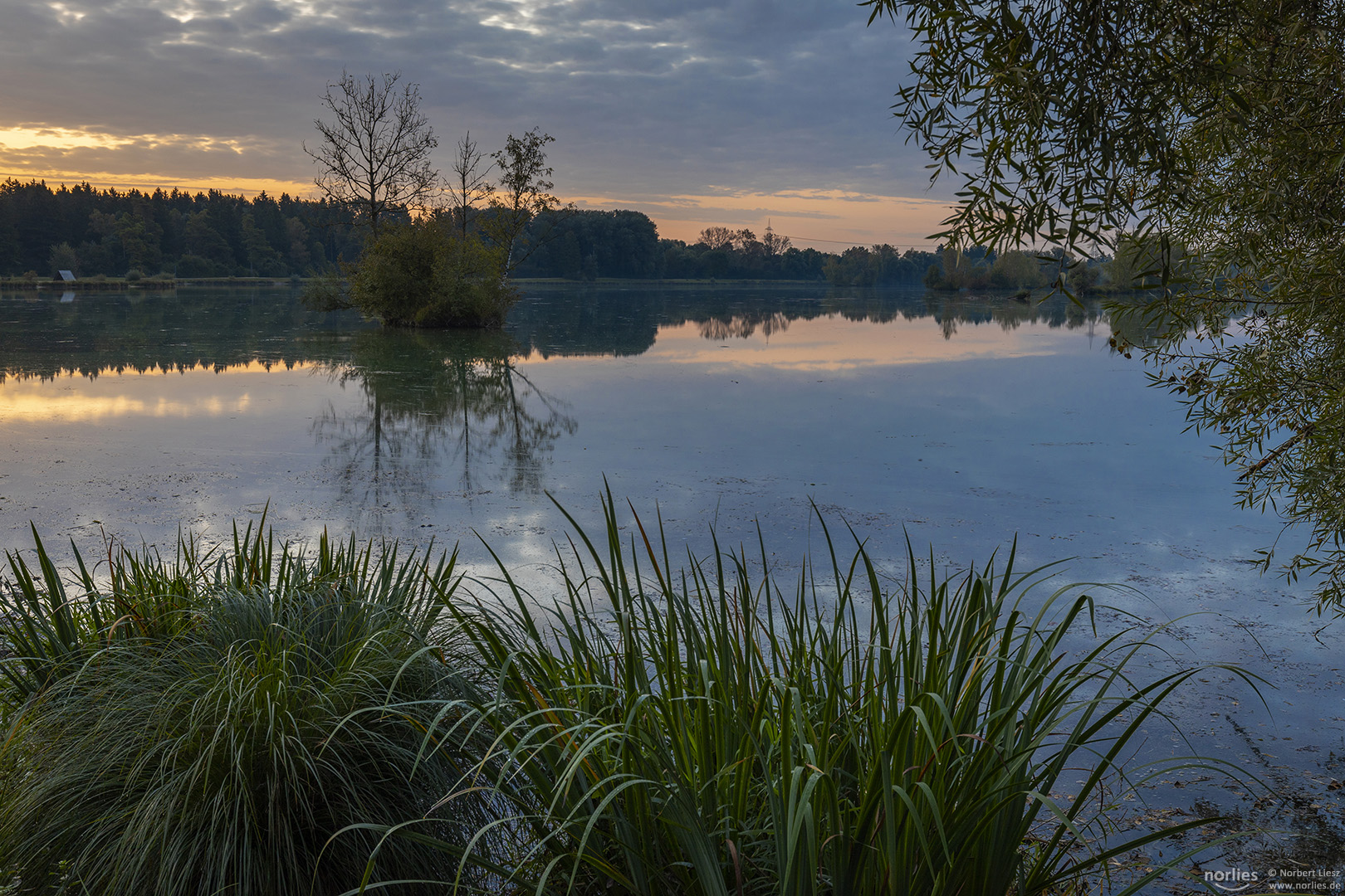 Morgenlicht