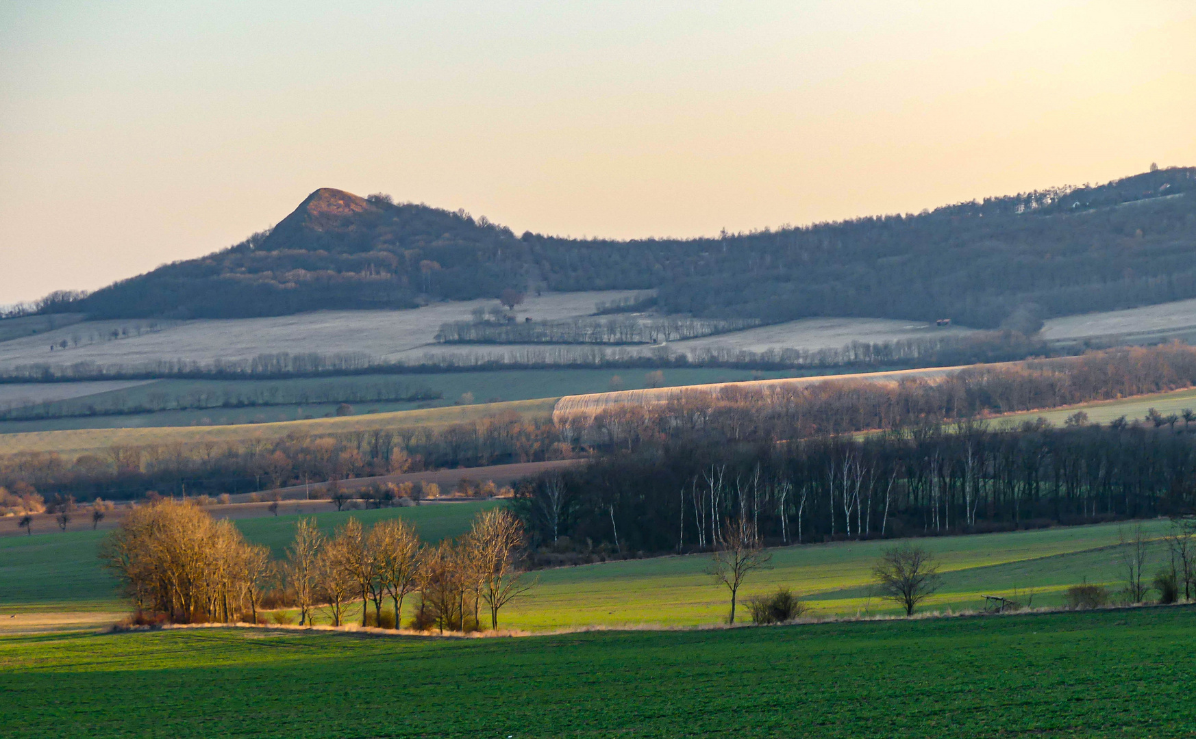  Morgenlicht