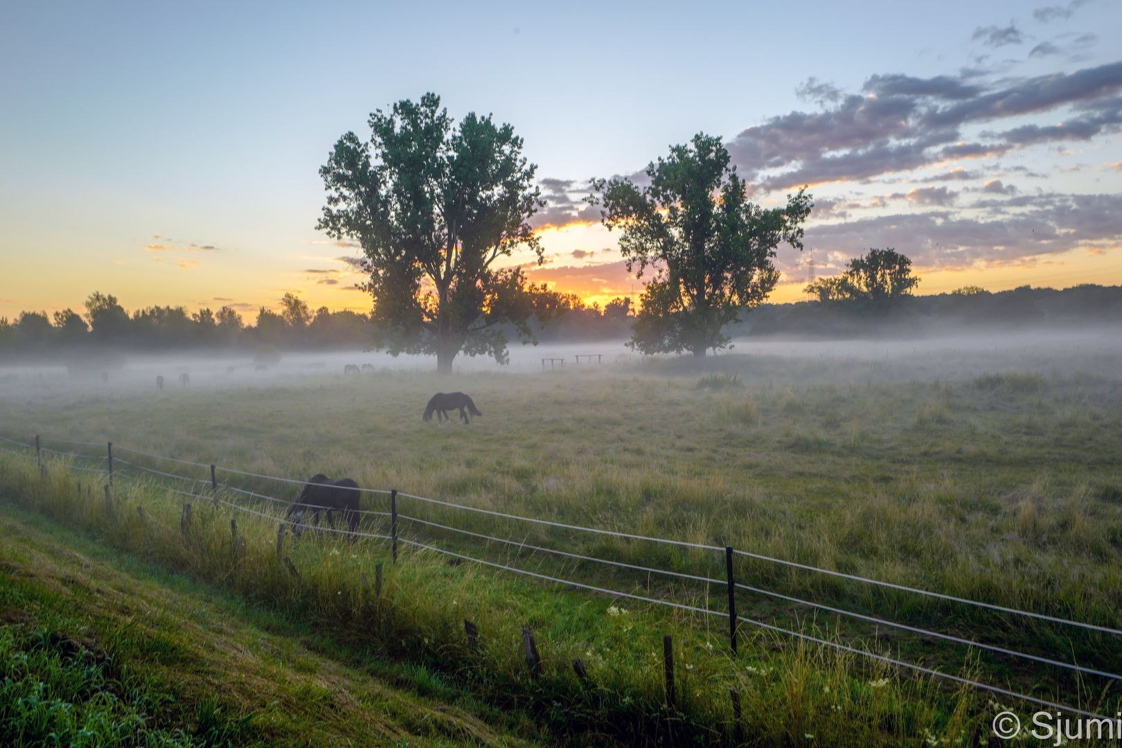 Morgenlicht.....