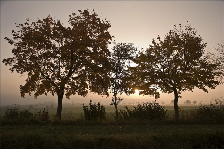 Morgenlicht