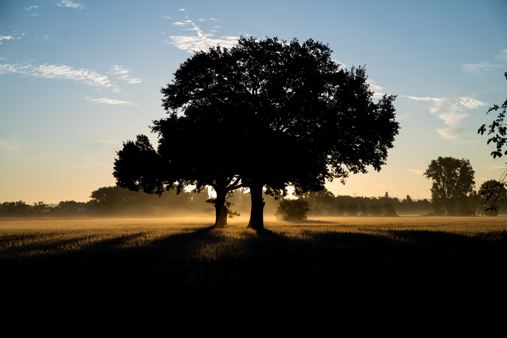 Morgenlicht