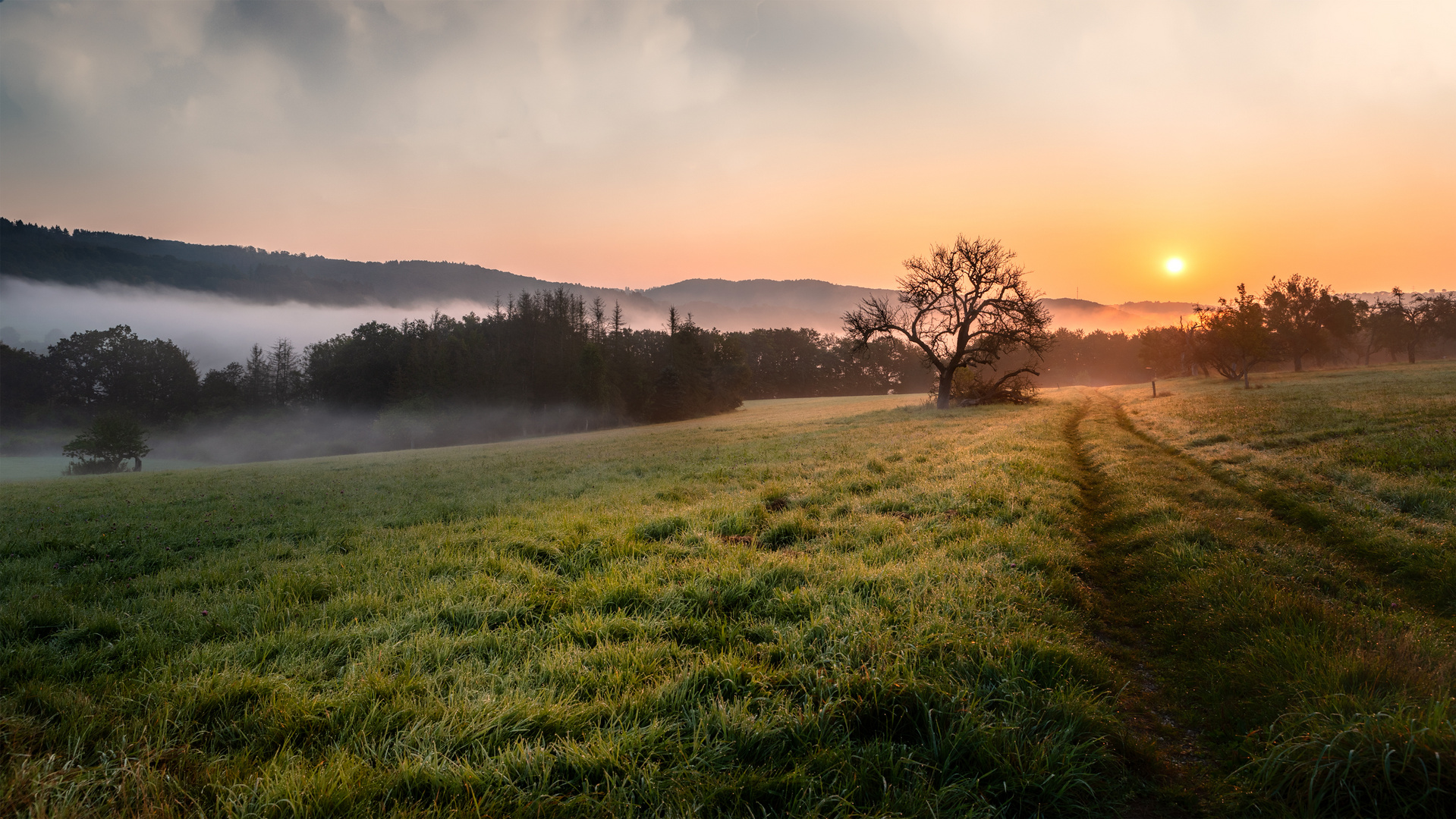 Morgenlicht