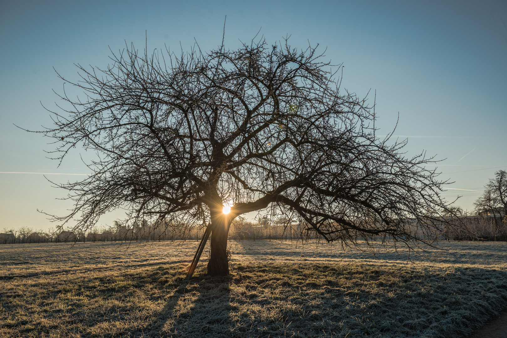 Morgenlicht