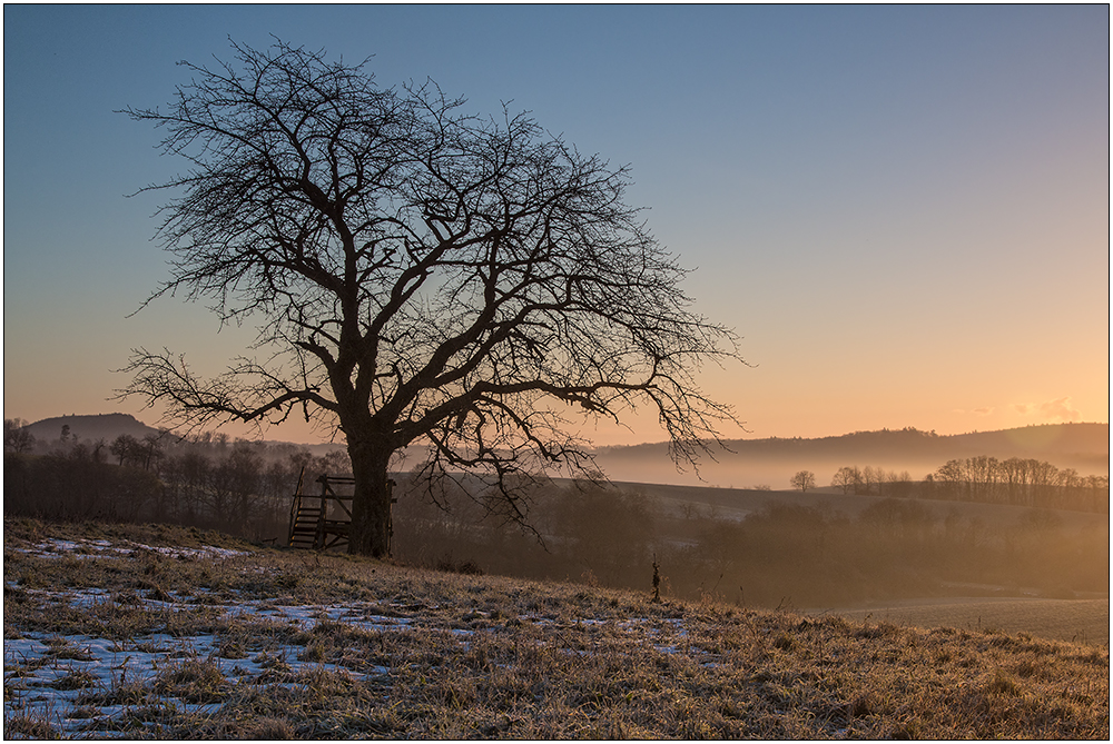 Morgenlicht