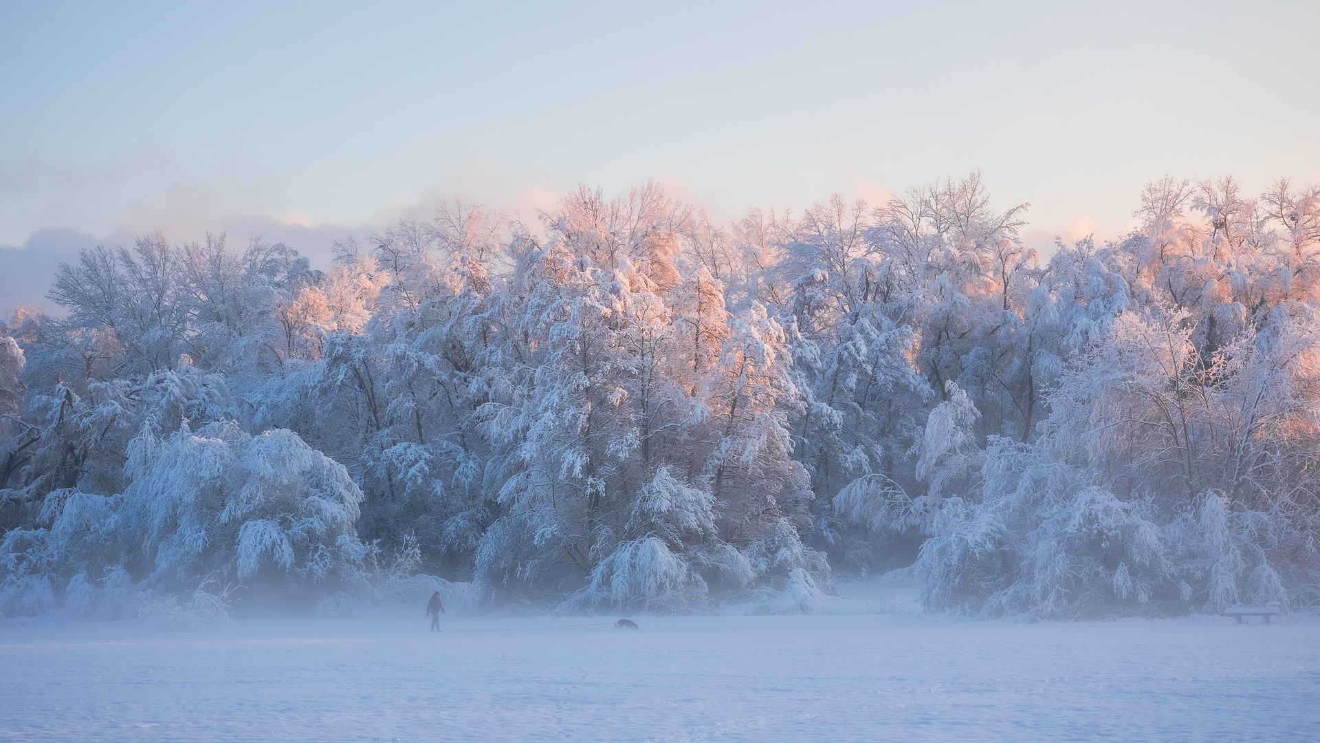 Morgenlicht