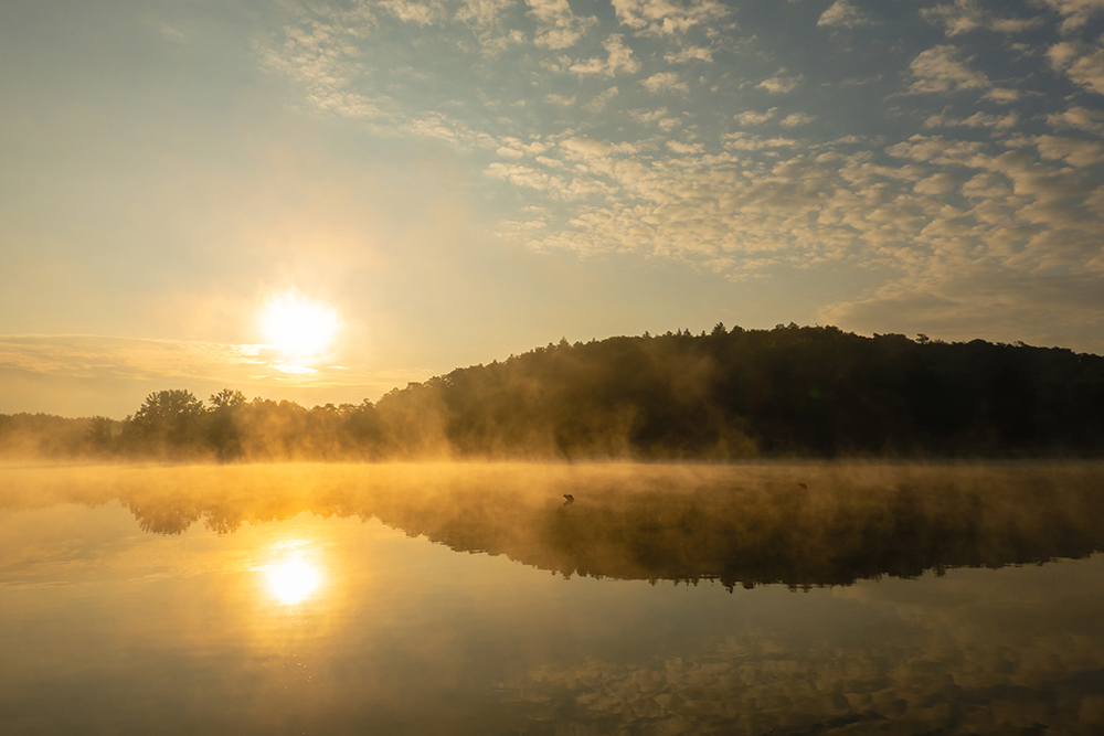 Morgenlicht 