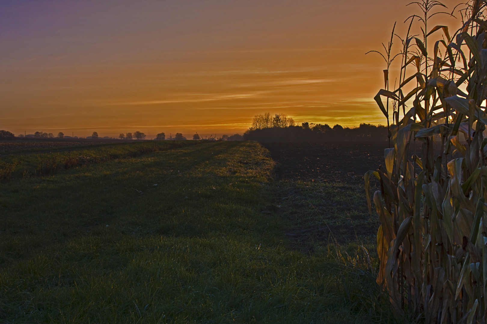 Morgenlicht