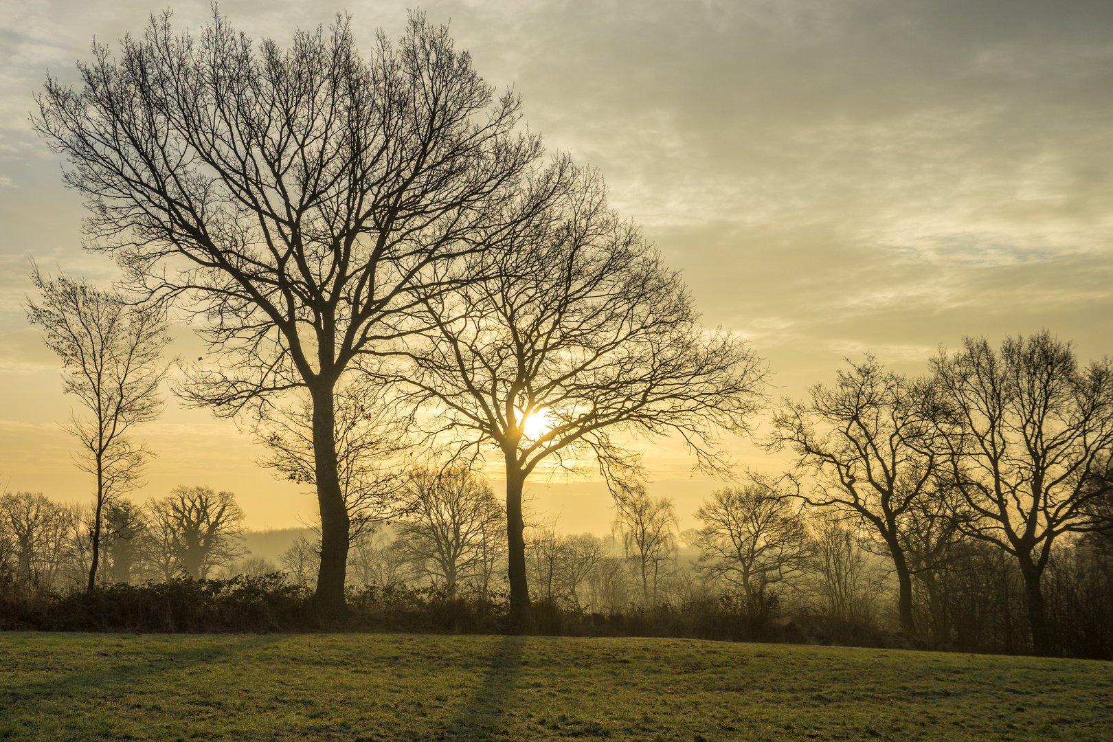 Morgenlicht