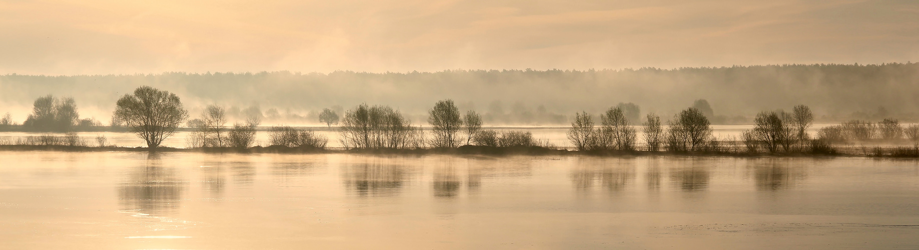 Morgenlicht