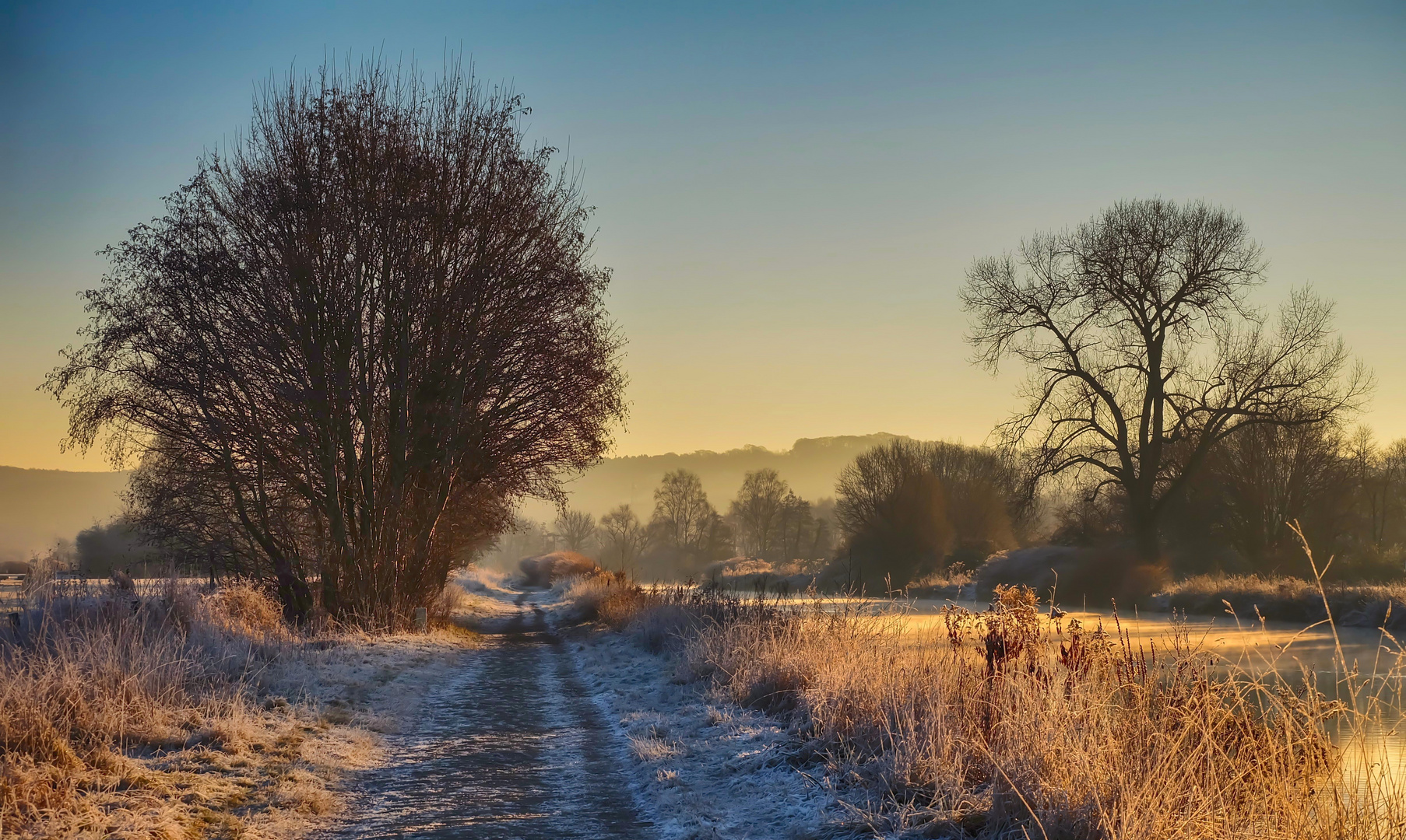 Morgenlicht