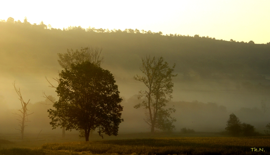 Morgenlicht