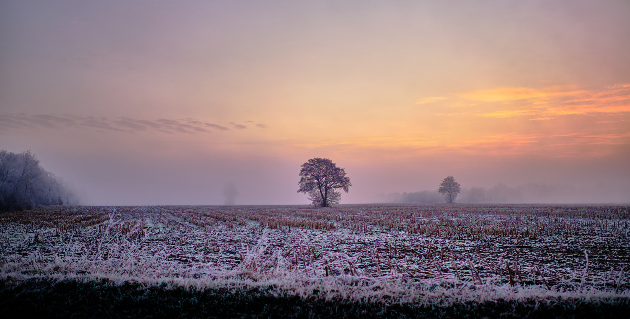 "Morgenlicht"