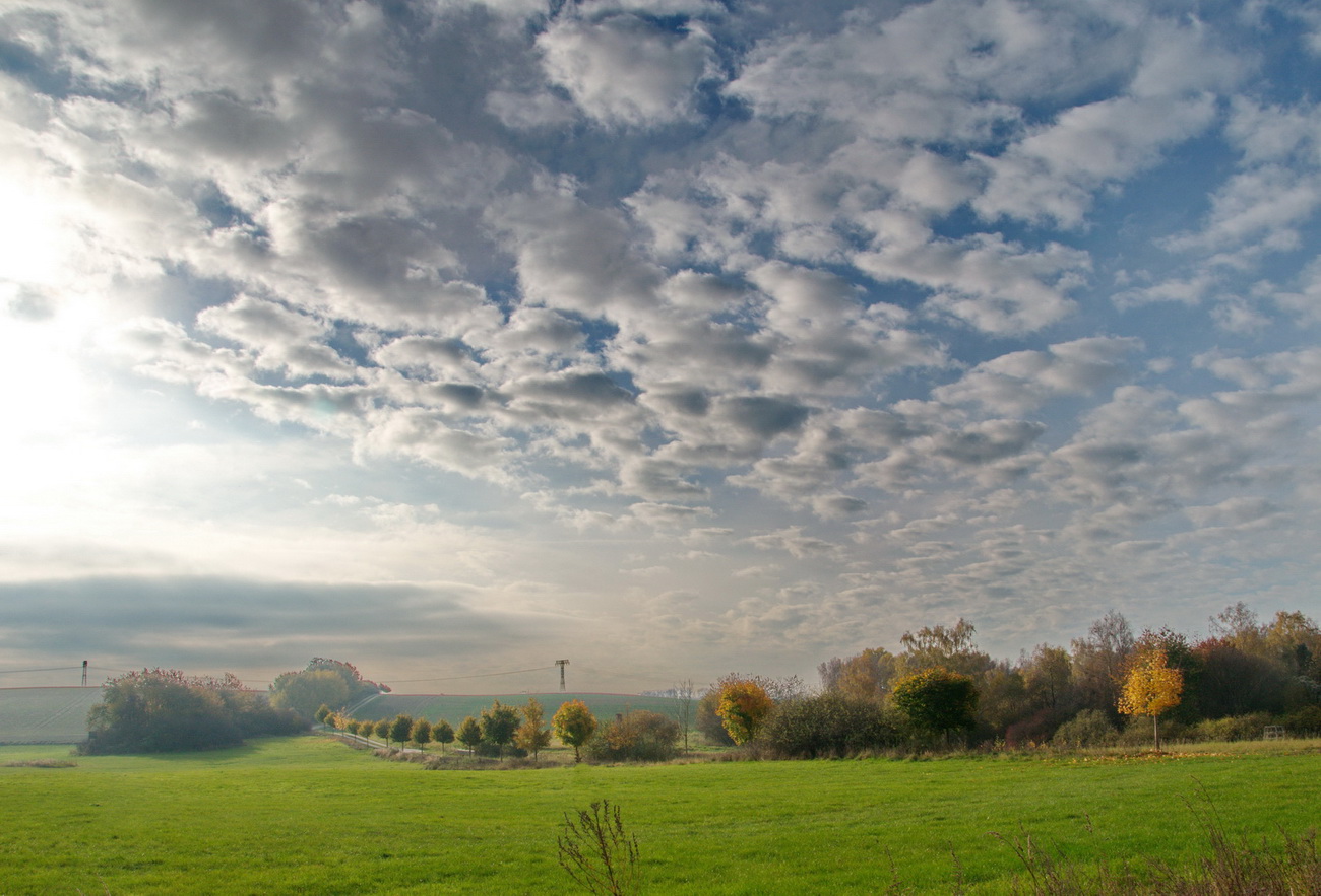 Morgenlicht