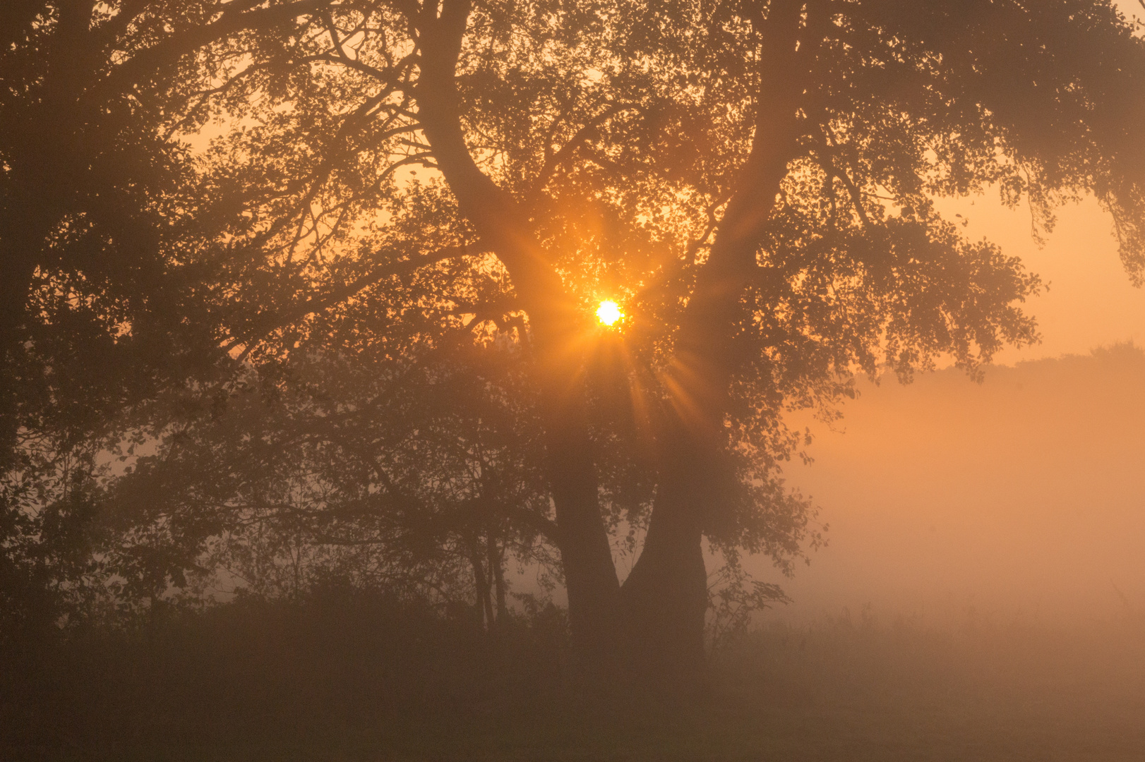 Morgenlicht 