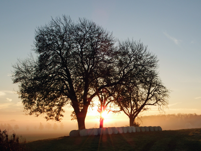 Morgenlicht