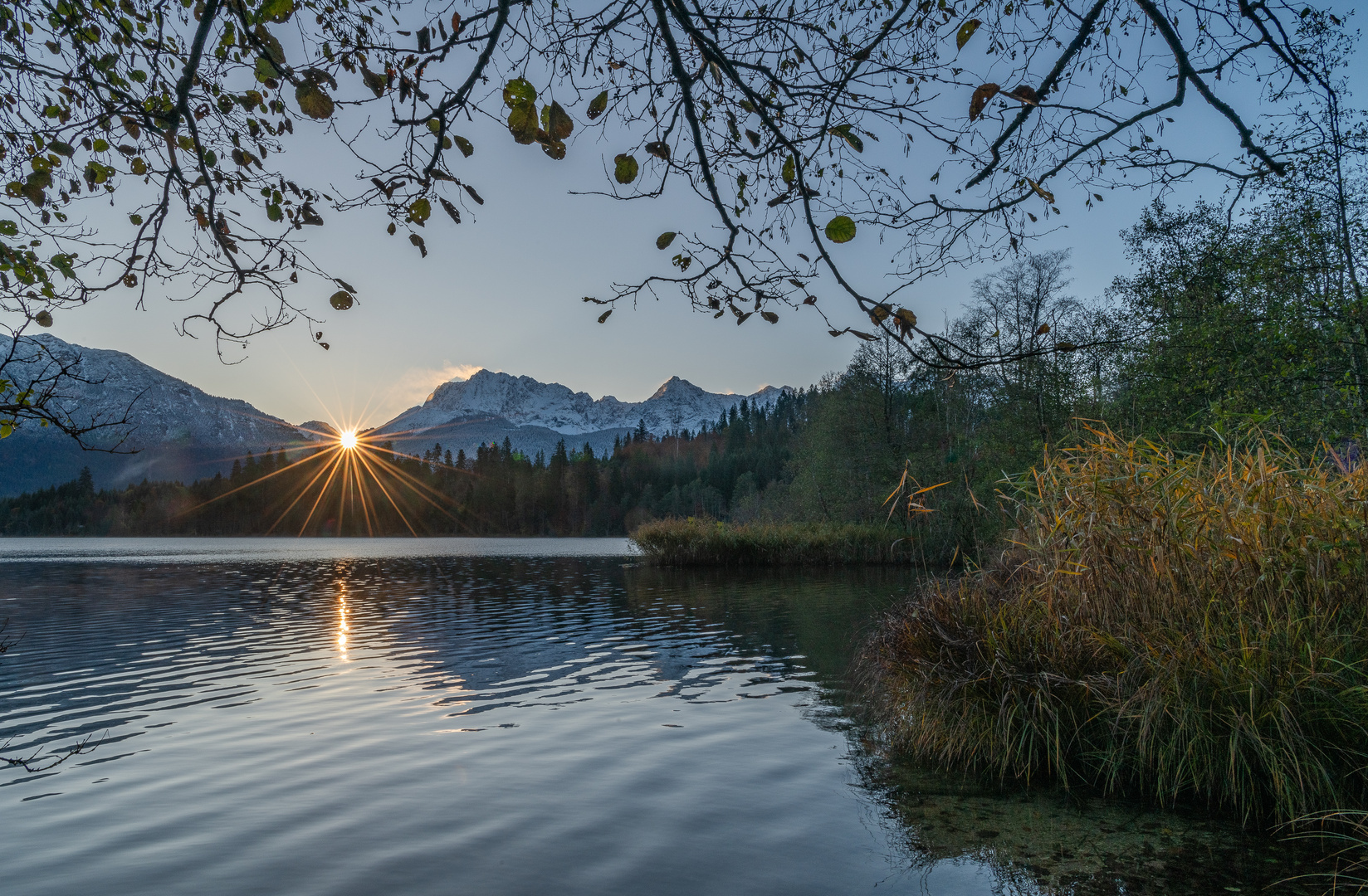 Morgenlicht am Barmsee