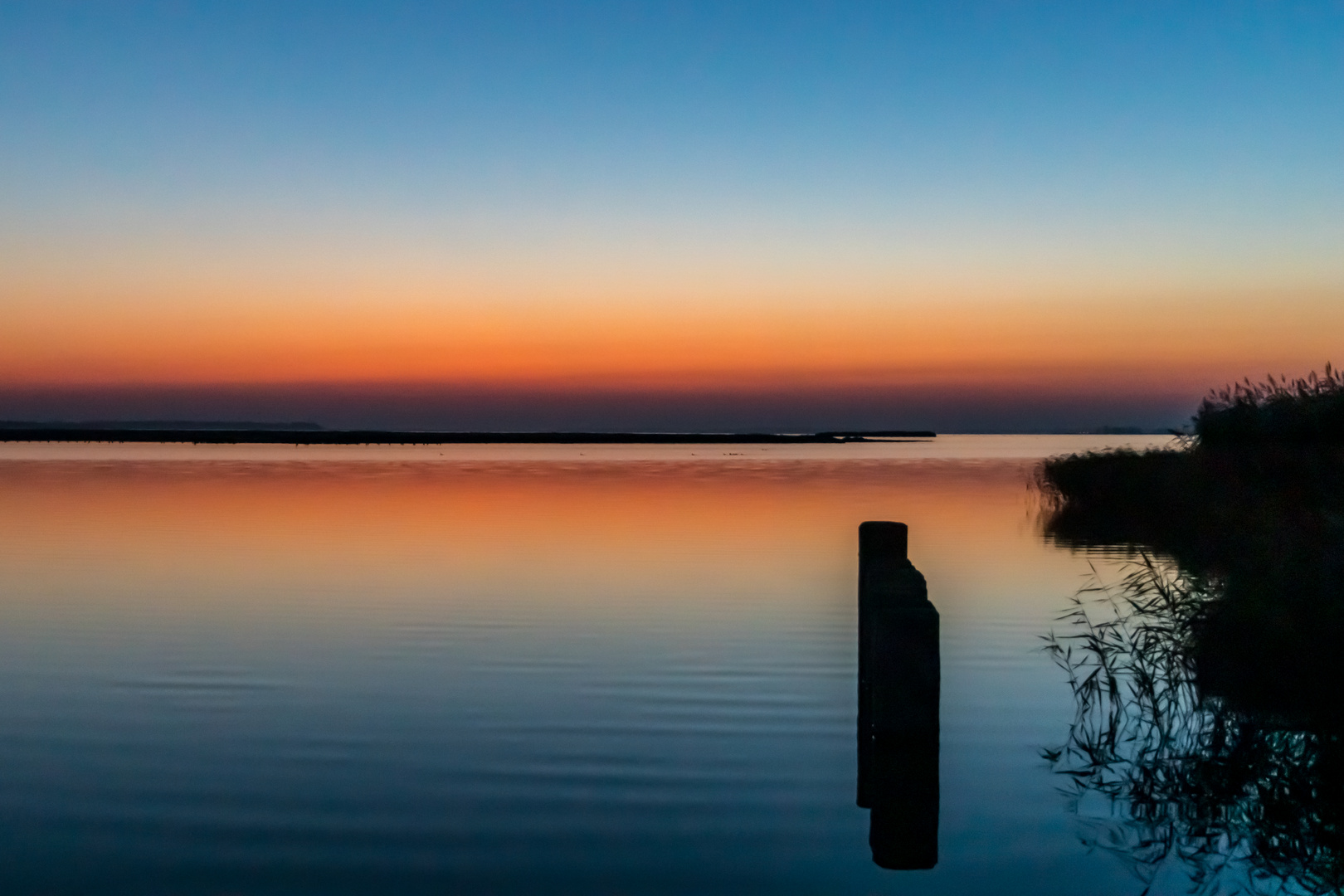 Morgenlicht am Bodden