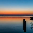 Morgenlicht am Bodden