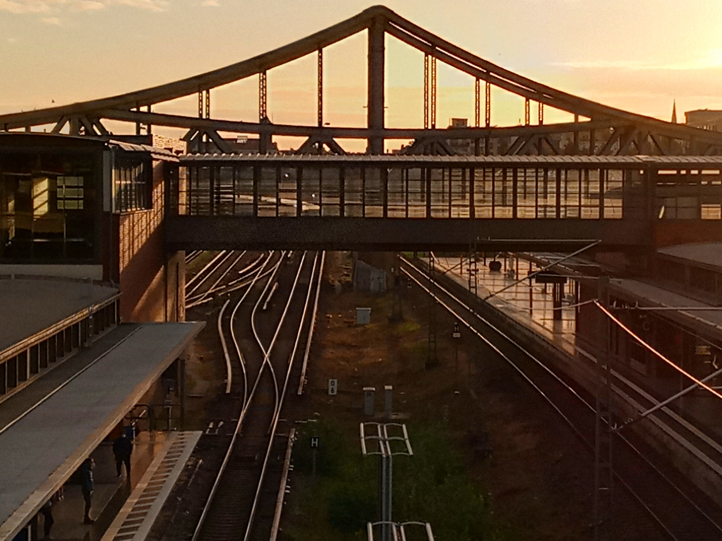 Morgenlicht am Gesundbrunnen