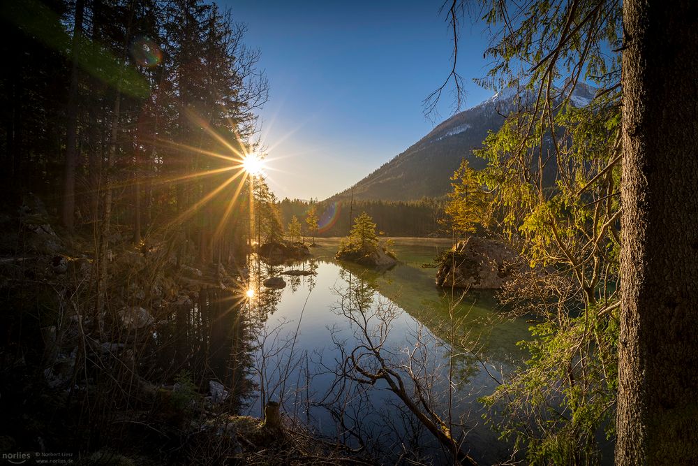 Morgenlicht am Hintersee