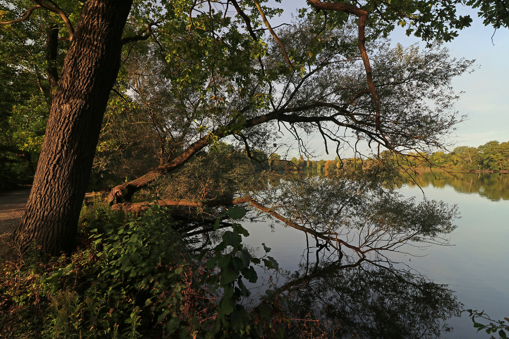 Morgenlicht am Kreuzteich