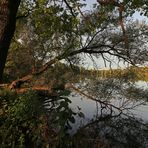 Morgenlicht am Kreuzteich