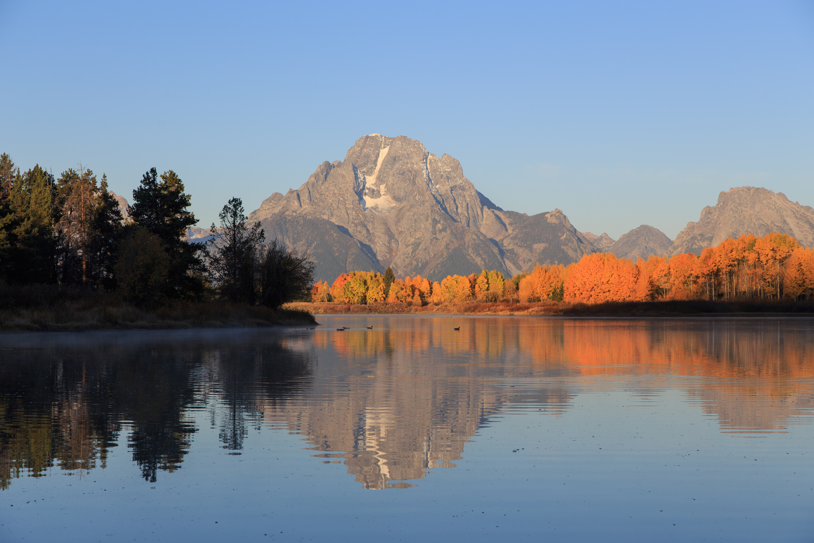 Morgenlicht am Oxbow Bend