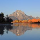 Morgenlicht am Oxbow Bend