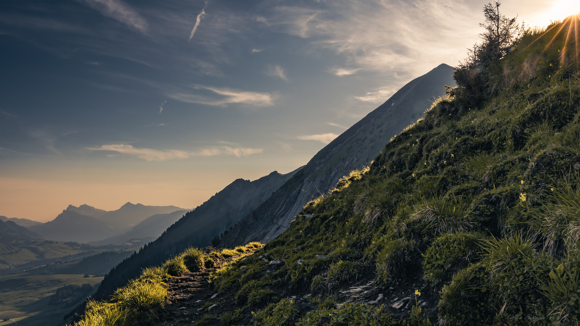 Morgenlicht am Scheenenbiel