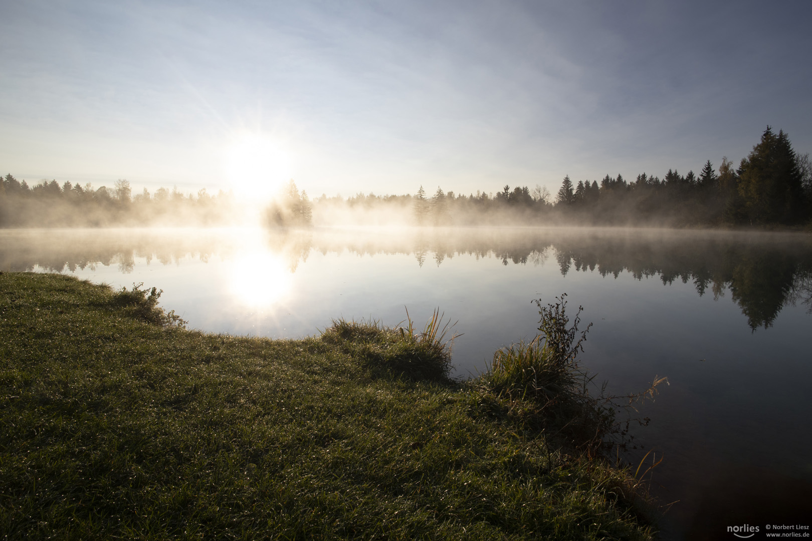 Morgenlicht am See