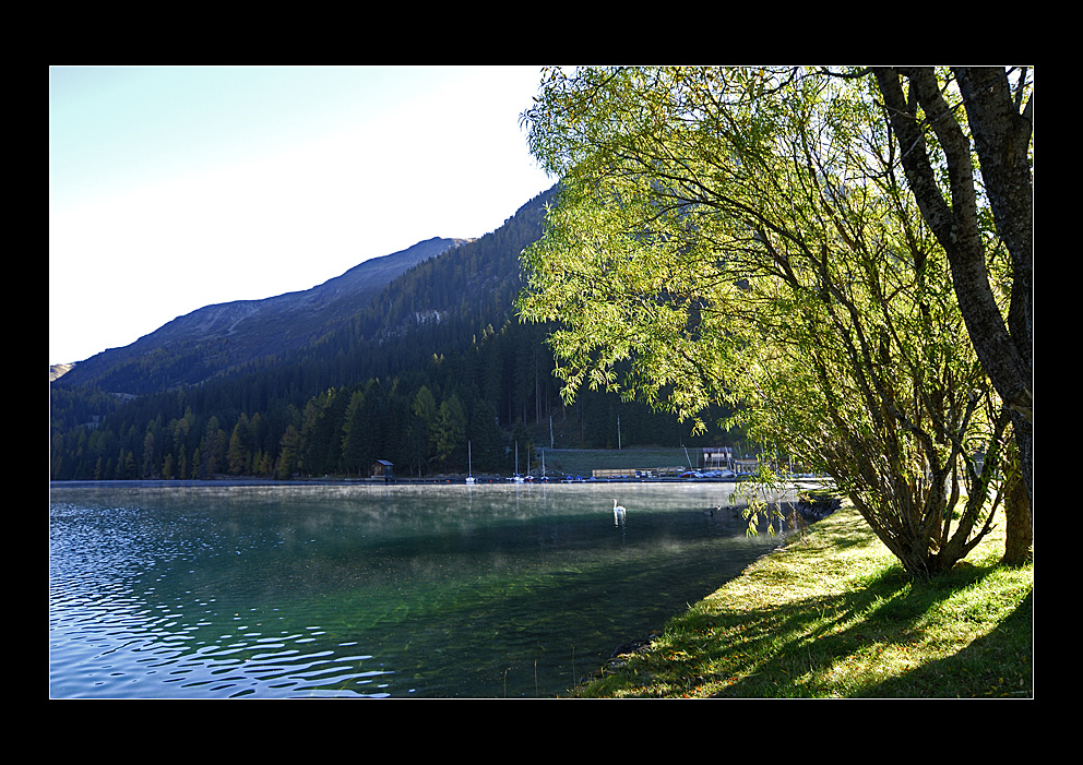 Morgenlicht am See