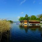 Morgenlicht am Staffelsee