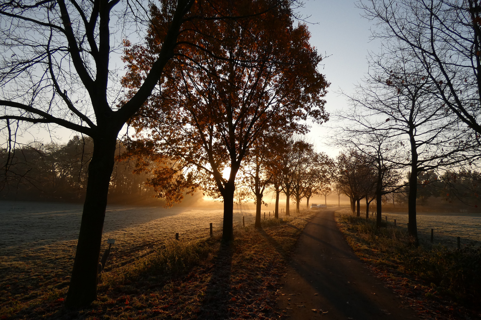 Morgenlicht an der Niederwerrieser Brücke in Hamm