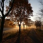 Morgenlicht an der Niederwerrieser Brücke in Hamm