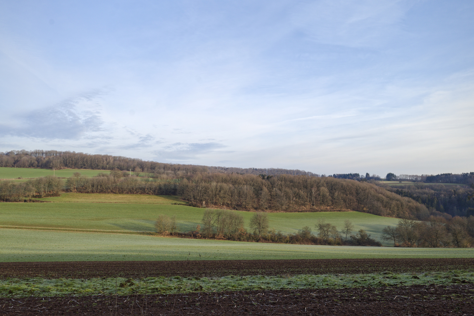 Morgenlicht auf dem Hangarder Flur