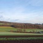 Morgenlicht auf dem Hangarder Flur