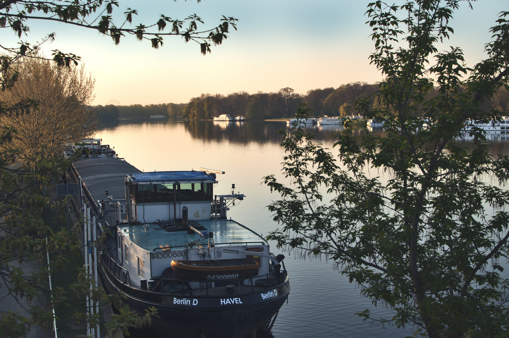 Morgenlicht auf der Spree