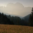 Morgenlicht auf der Wiese in St. Zyprian