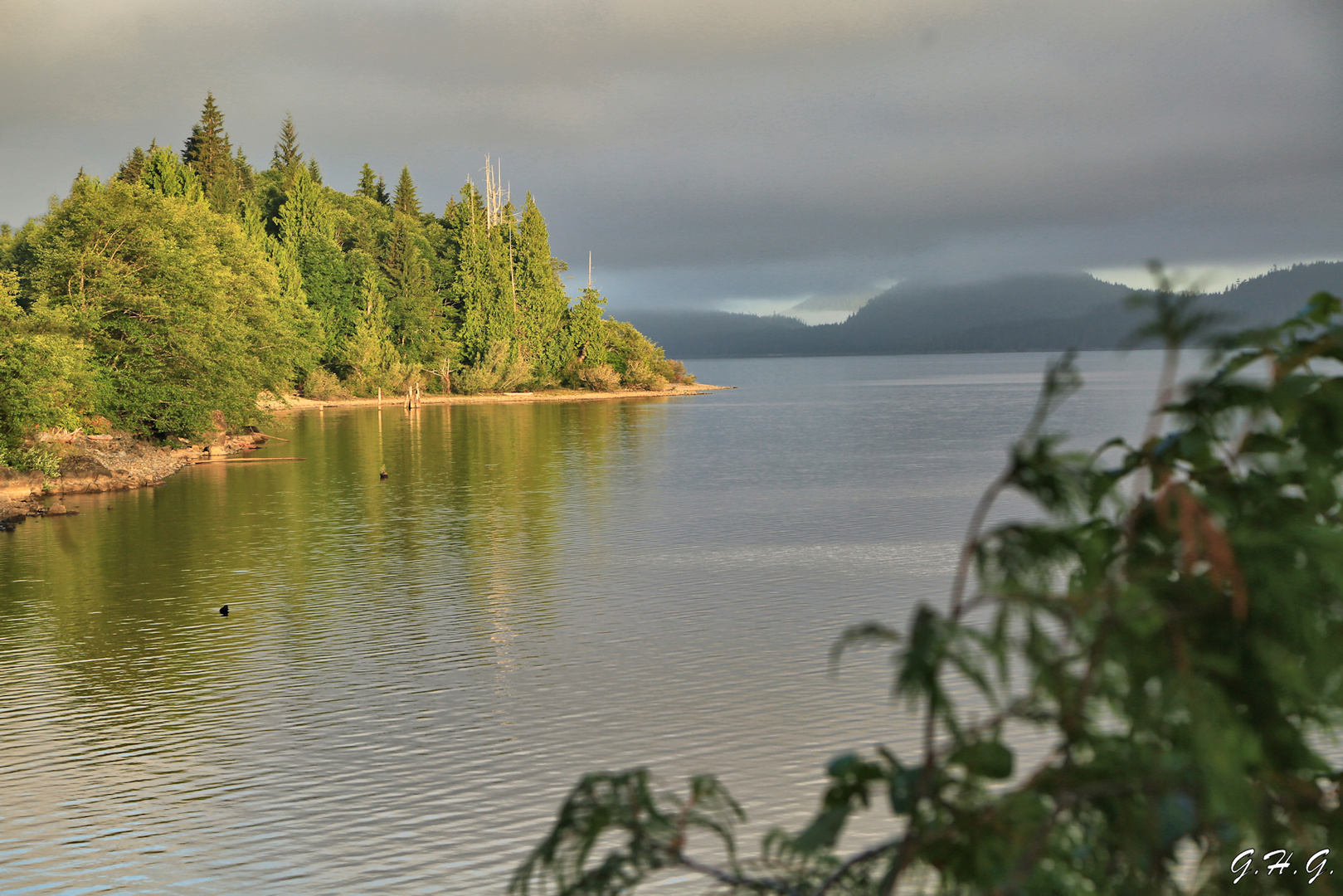 Morgenlicht auf Vancouver Island