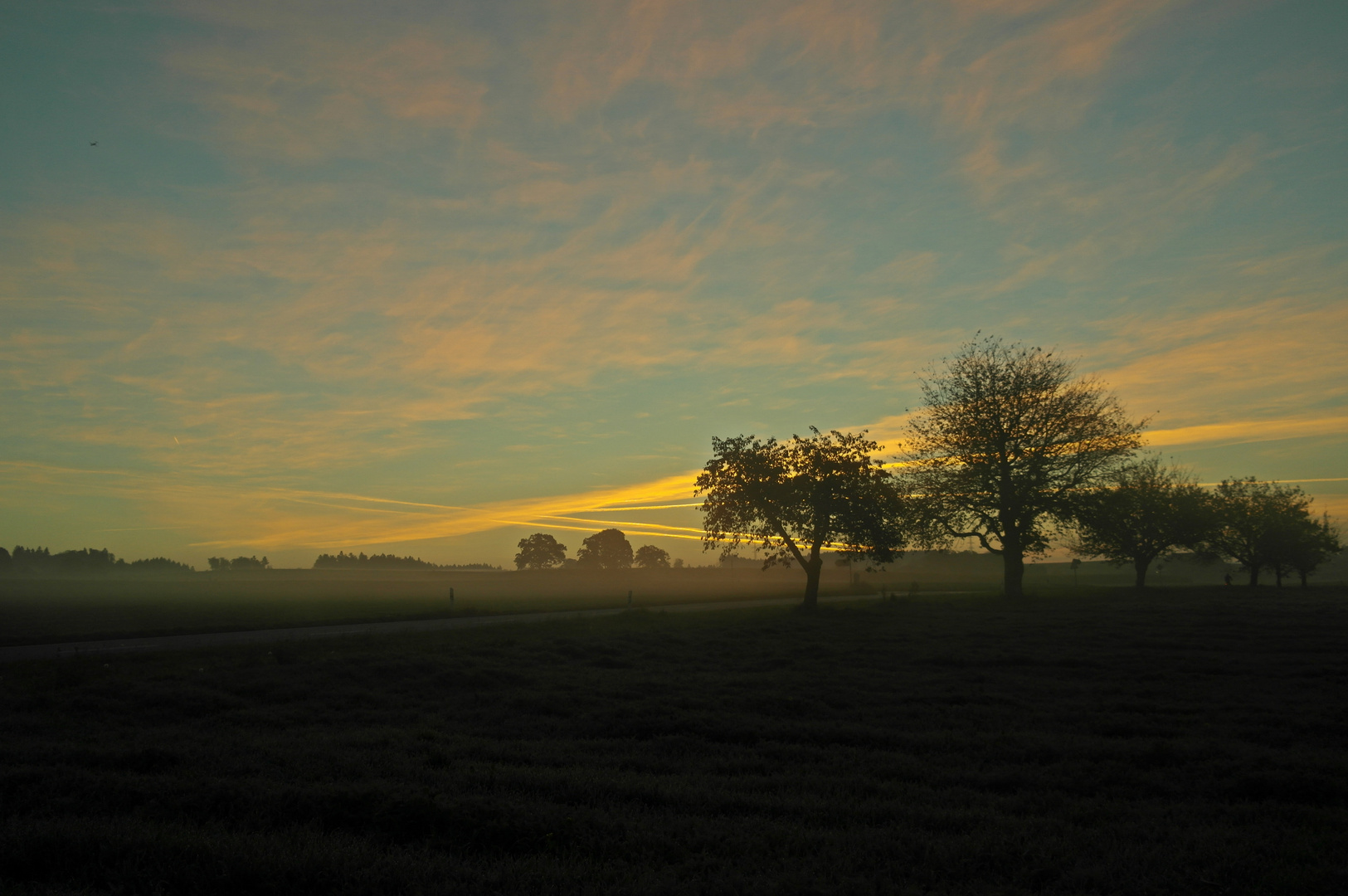 Morgenlicht