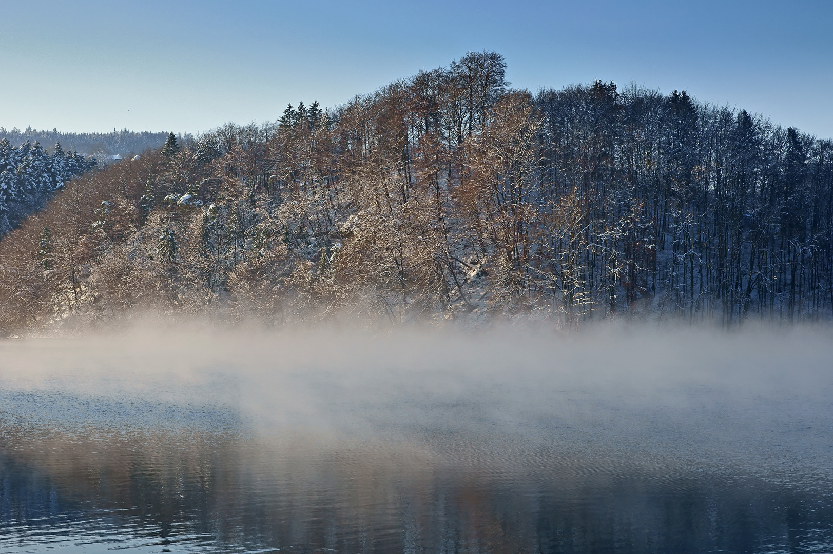 Morgenlicht bei - 10 C°