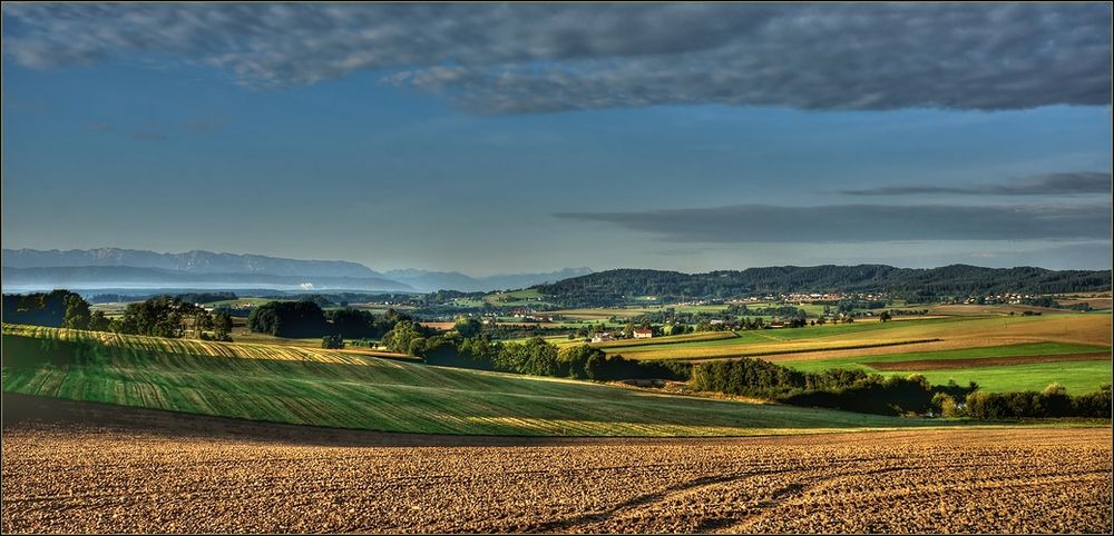 Morgenlicht bei mir dahoam....