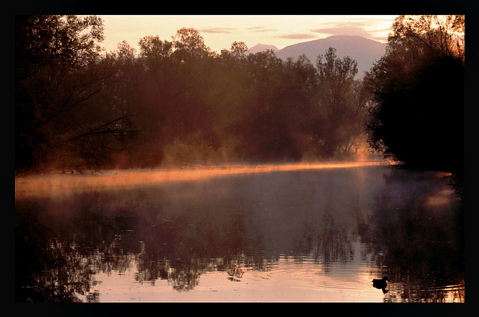 Morgenlicht