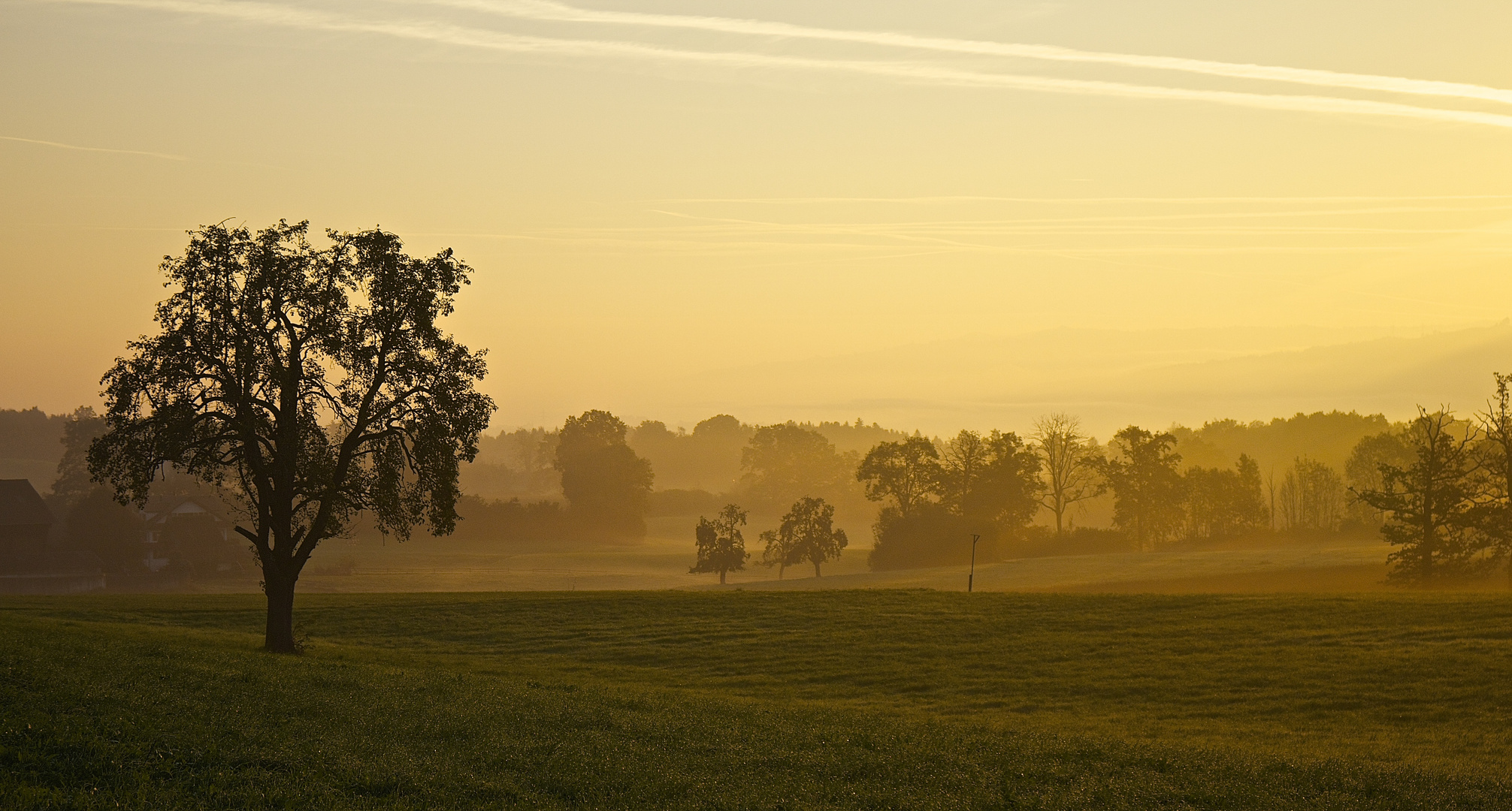 Morgenlicht