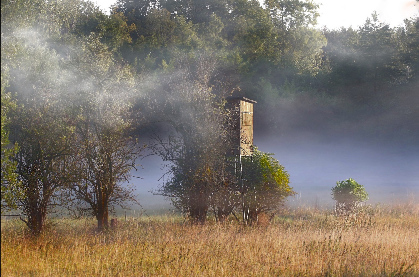 Morgenlicht