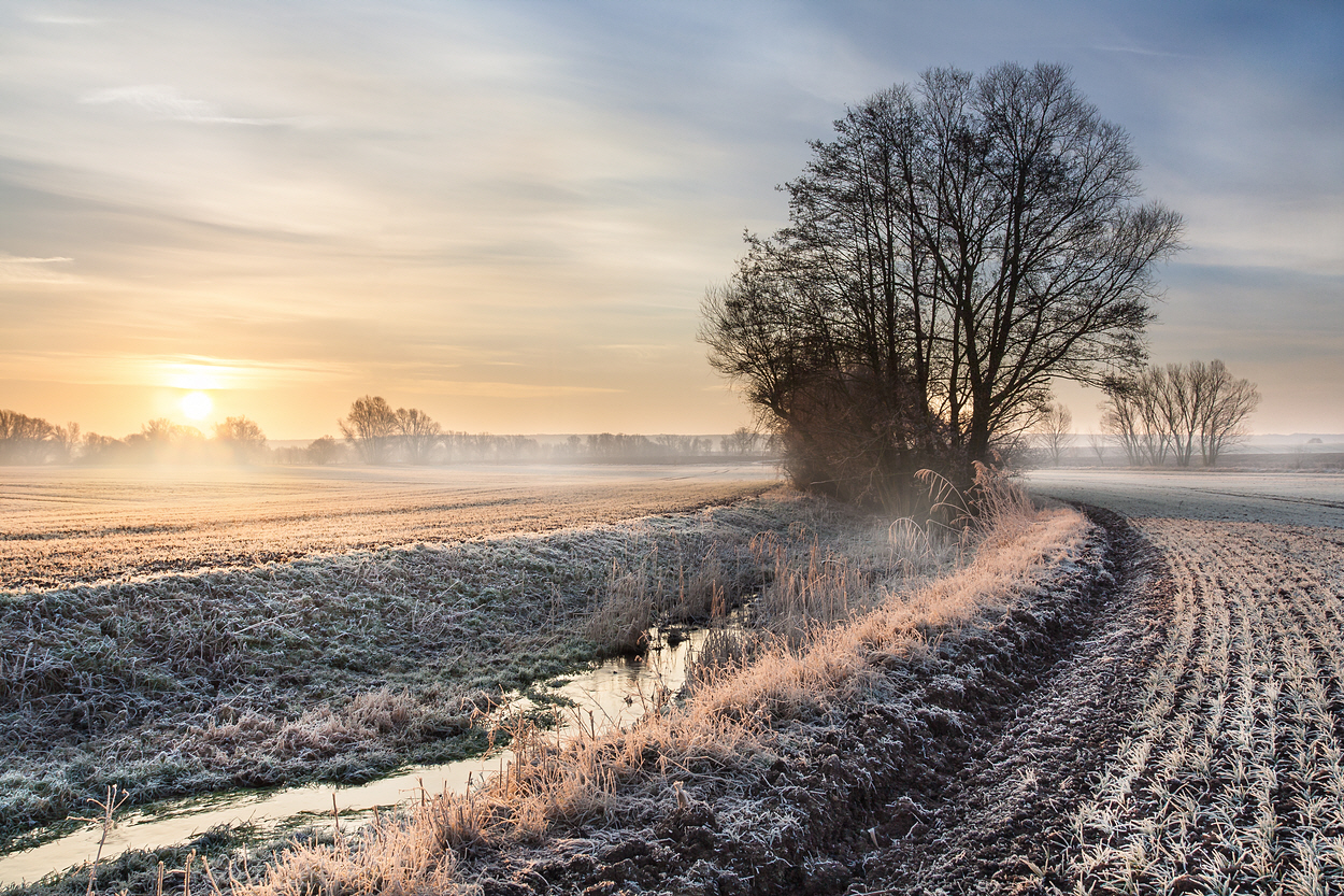 Morgenlicht