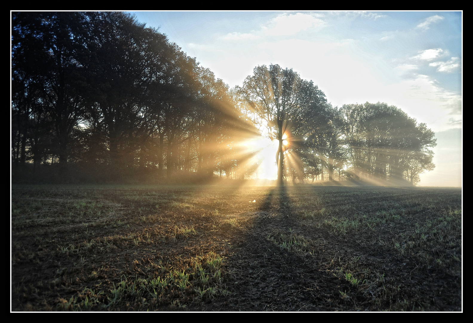 Morgenlicht