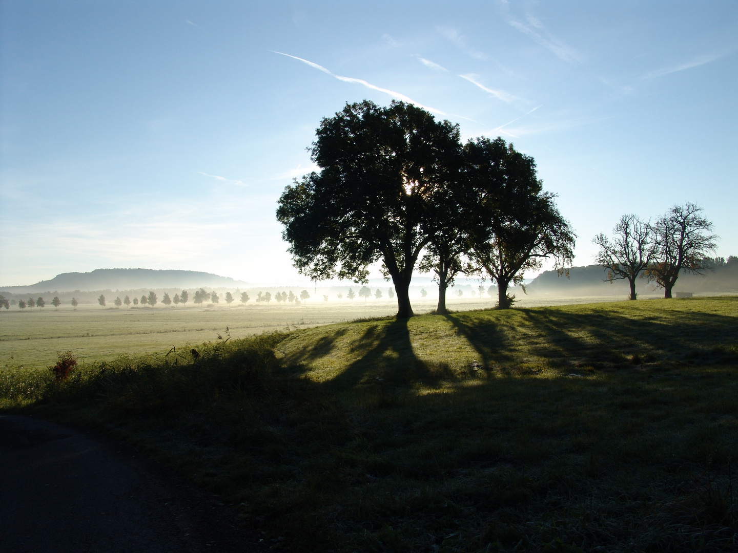 Morgenlicht